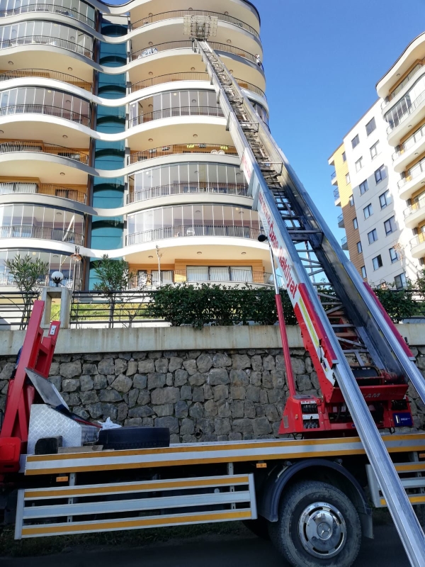 20221110154830528WATTZ