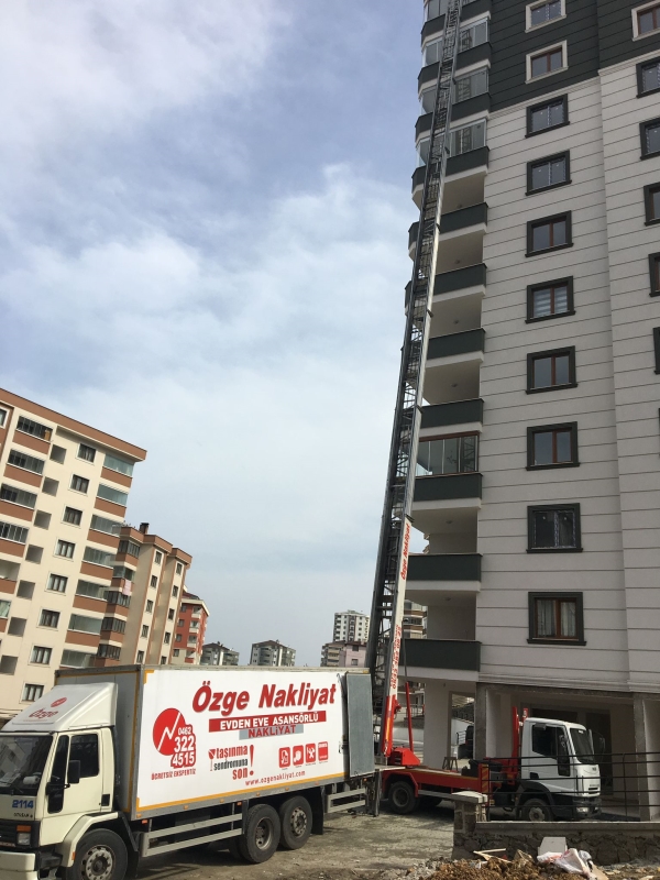 20221110154748310DXHBF